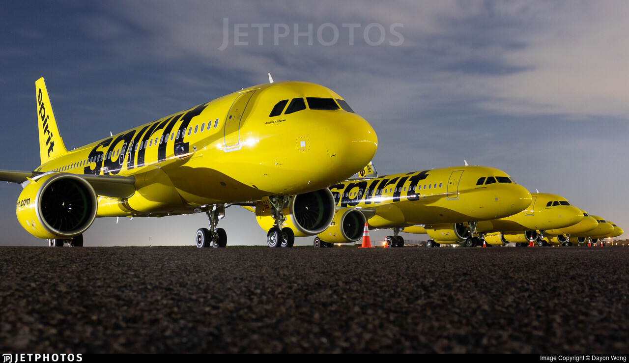 Spirit Airlines aircraft parked in a row