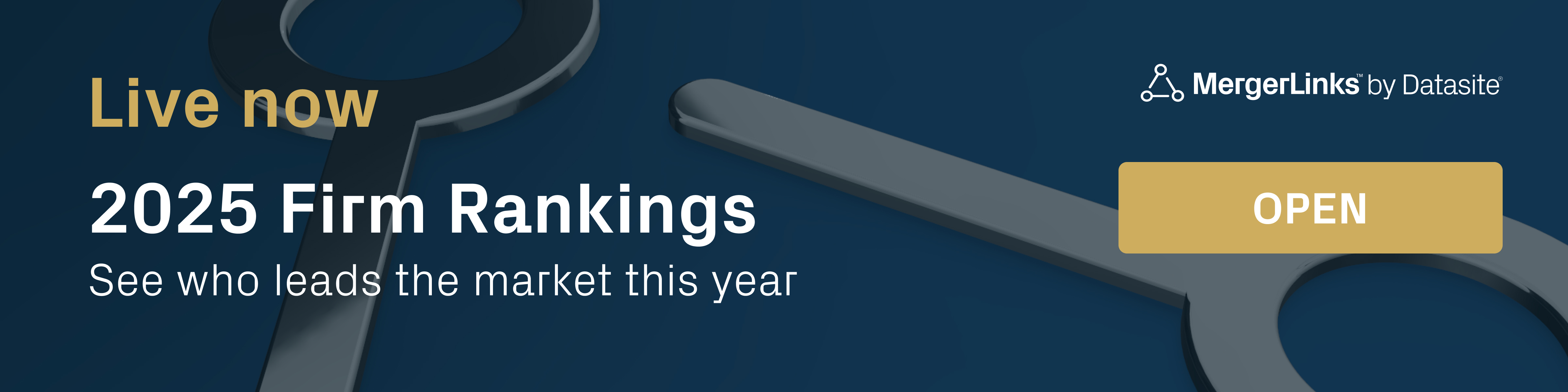 See who leads the market this year