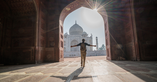 Ad for Pet Insurance