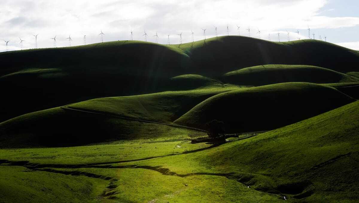 Noel Hendrickson / Nancy Grant