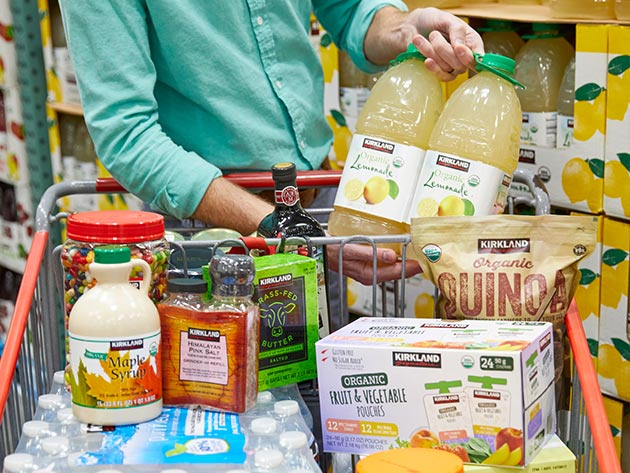 Ad for Pet Insurance