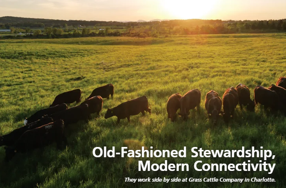 Grass Cattle Company