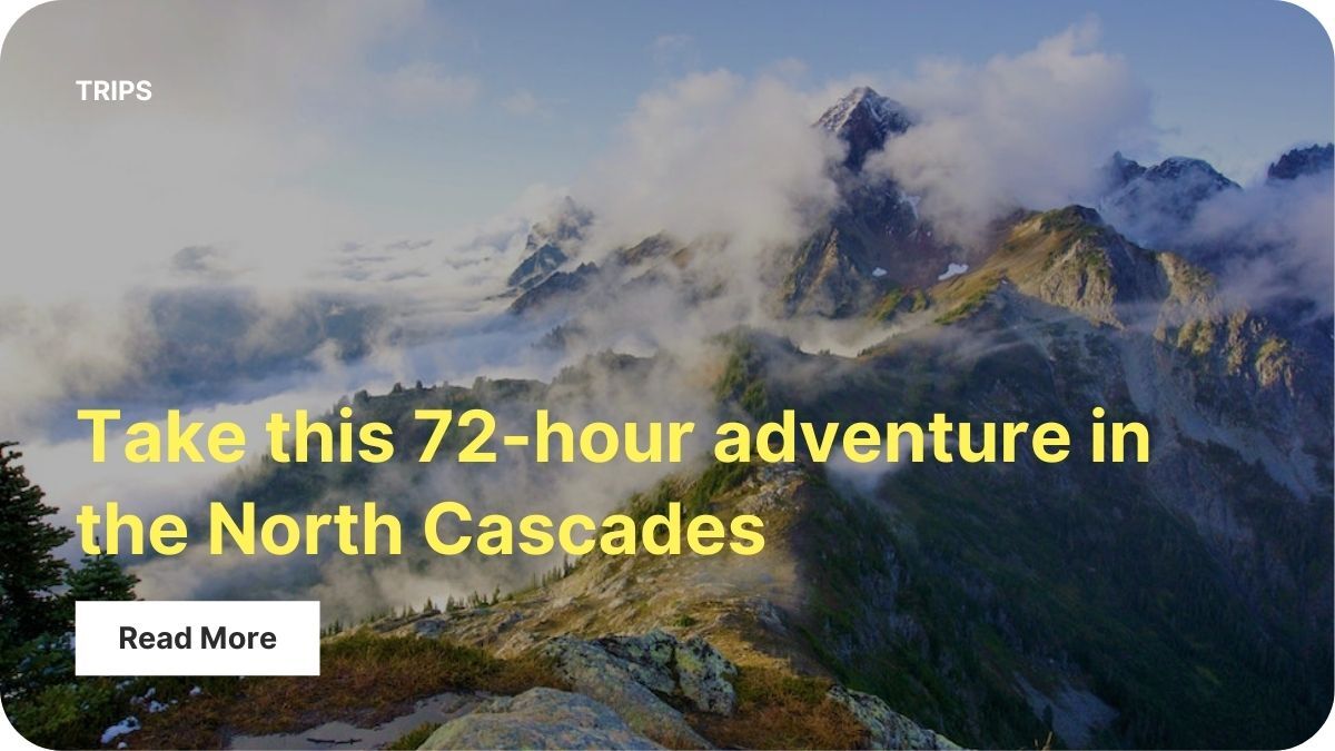 A mountain ridge is covered in meandering clouds and sparsely populated with evergreen trees.