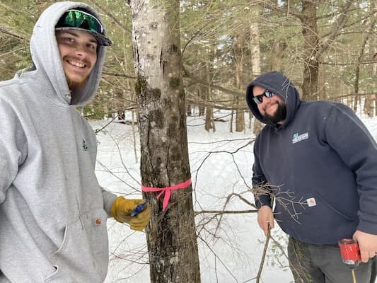 Employees volunteering at the Green Mountain Audubon Center.