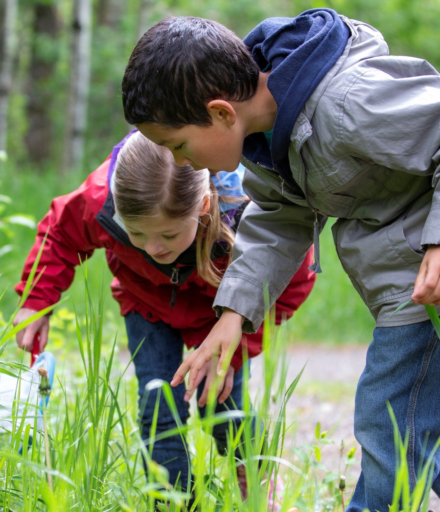 Navigating Field Trips and Food Allergies: Video