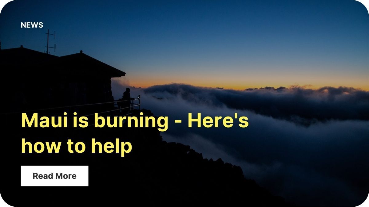 A building sits on the edge of a mountain. It's dark and only the silhouette is visible. There are large clouds below the building in the valley and the sun is rising or setting , turning the sky orange and yellow against the dark blue.