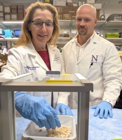 Could Asthma, Diabetes Drugs Work for Allergies?