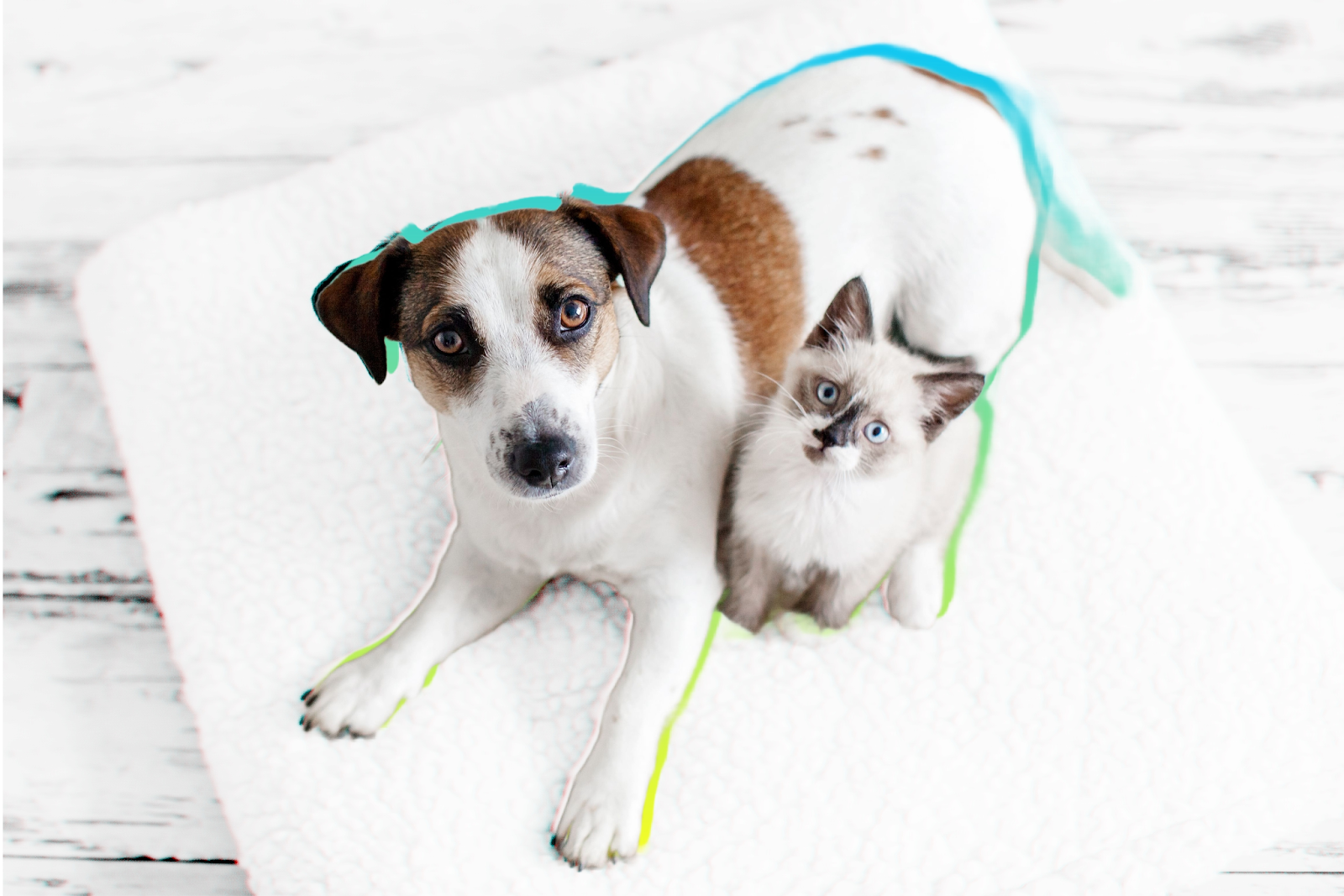 Ad for Native Hydrate