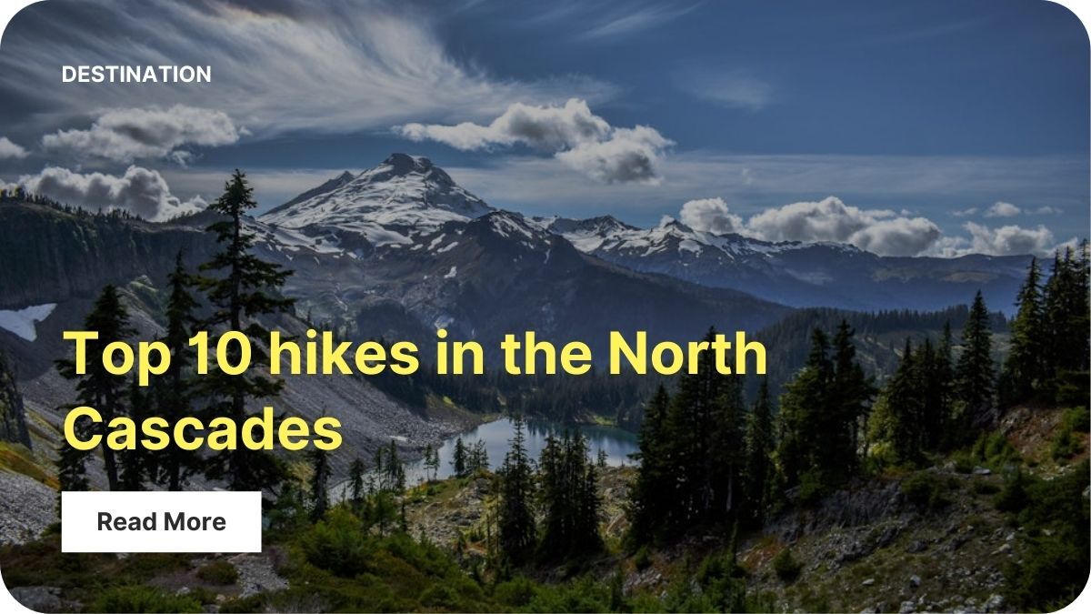 Snow capped mountains rise in the distance and a lake at the base is surrounded by evergreen trees.