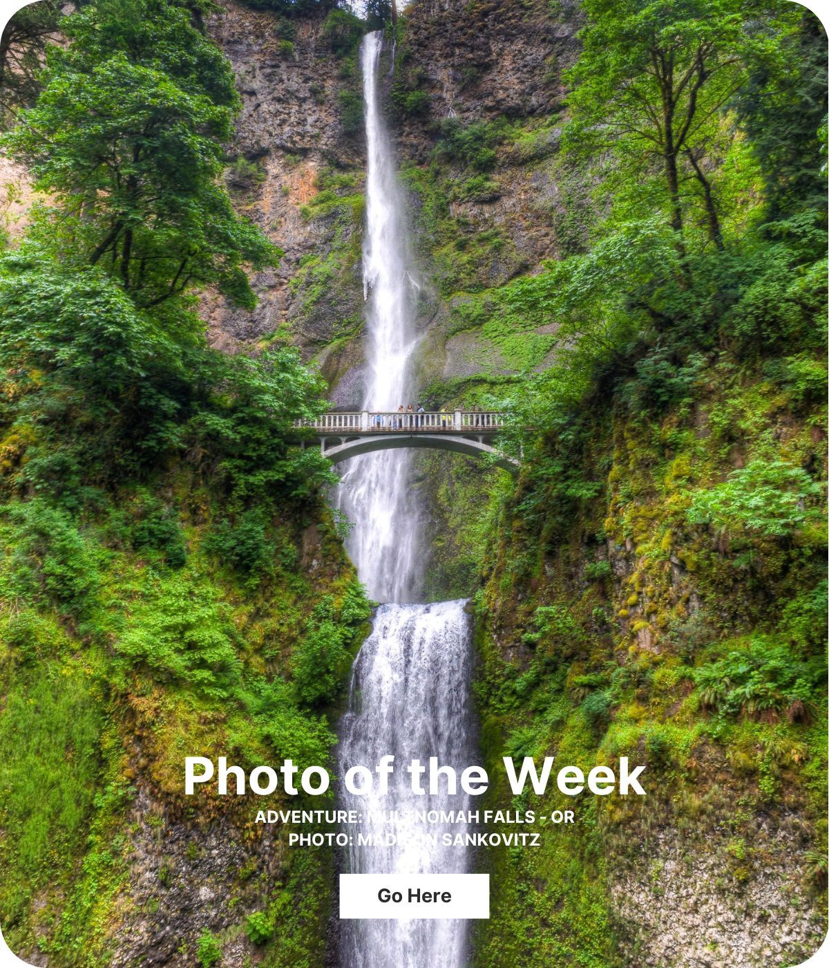 A skinny, tall waterfall is in the middle of the image. A bridge with an arched bottom goes from the left to the right.